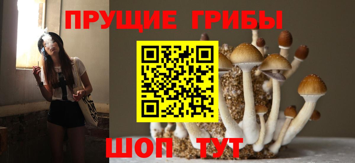 Галлюциногенные грибы прущие грибы  Вход с VPN  Орехово-Зуево 